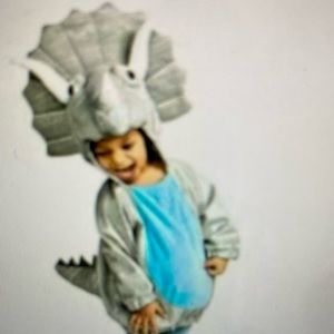 Baby triceratops costume